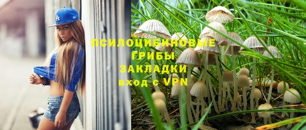 ешки Абаза