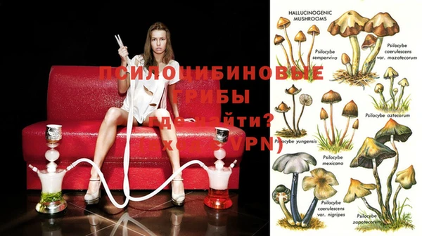 ешки Абаза